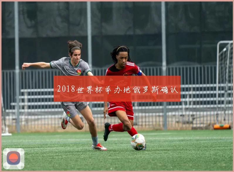 2018世界杯举办地俄罗斯确认
