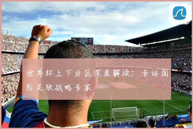 世界杯上下分区深度解读:专访国际足联战略专家