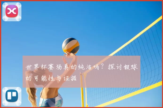 世界杯赛场真的纯洁吗?探讨假球的可能性与证据