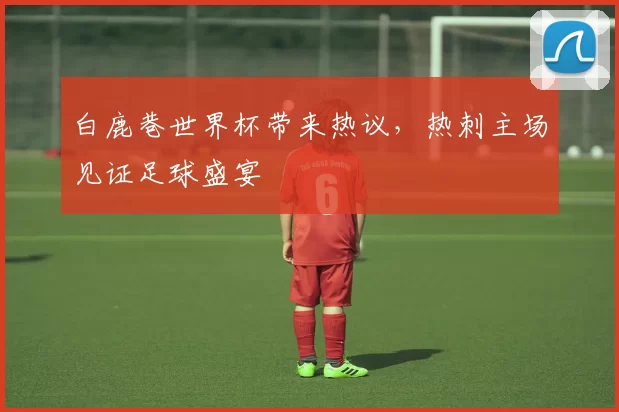 白鹿巷世界杯带来热议,热刺主场见证足球盛宴