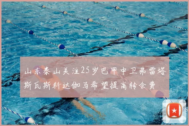 山东泰山关注25岁巴甲中卫弗雷塔斯瓦斯科达伽马希望提高转会费