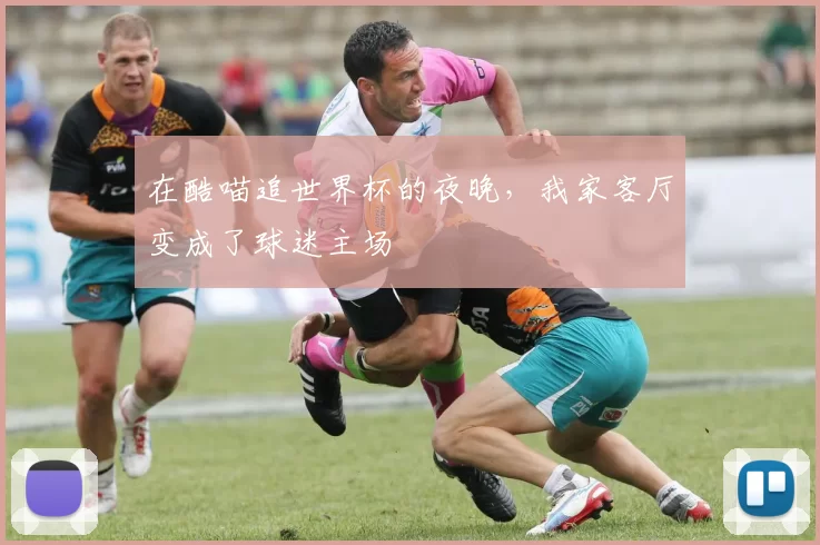在酷喵追世界杯的夜晚，我家客厅变成了球迷主场