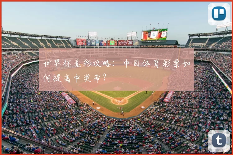 世界杯竞彩攻略:中目体育彩票如何提高中奖率?