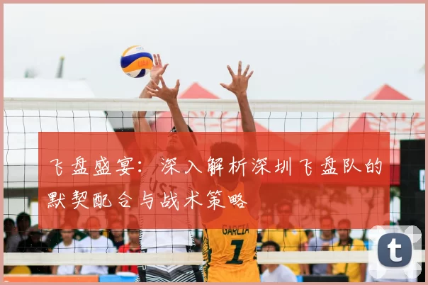 飞盘盛宴:深入解析深圳飞盘队的默契配合与战术策略