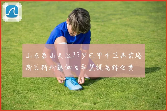 山东泰山关注25岁巴甲中卫弗雷塔斯瓦斯科达伽马希望提高转会费