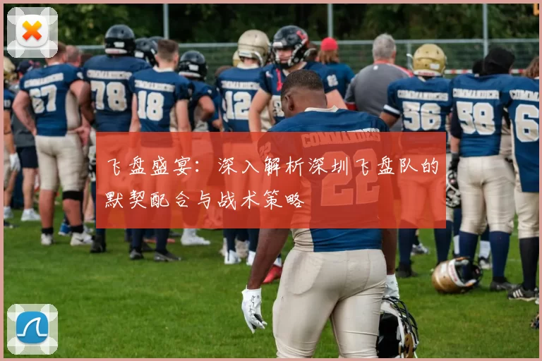 飞盘盛宴:深入解析深圳飞盘队的默契配合与战术策略