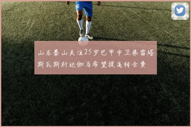 山东泰山关注25岁巴甲中卫弗雷塔斯瓦斯科达伽马希望提高转会费
