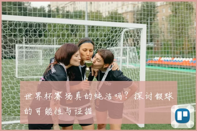 世界杯赛场真的纯洁吗？探讨假球的可能性与证据