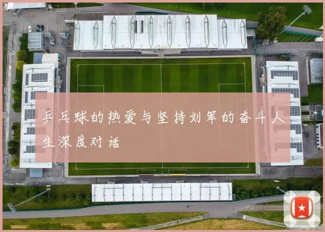 乒乓球的热爱与坚持刘军的奋斗人生深度对话