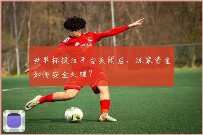世界杯投注平台关闭后，玩家资金如何安全处理？