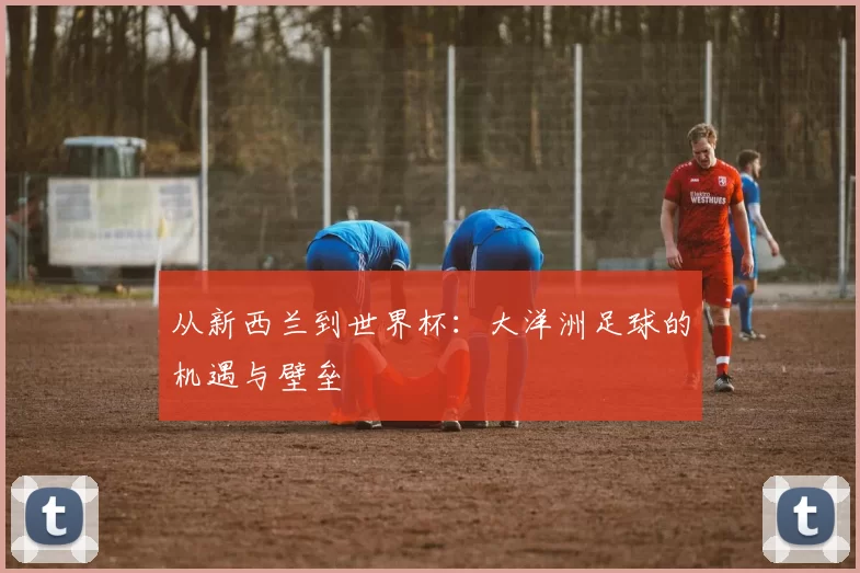 从新西兰到世界杯:大洋洲足球的机遇与壁垒