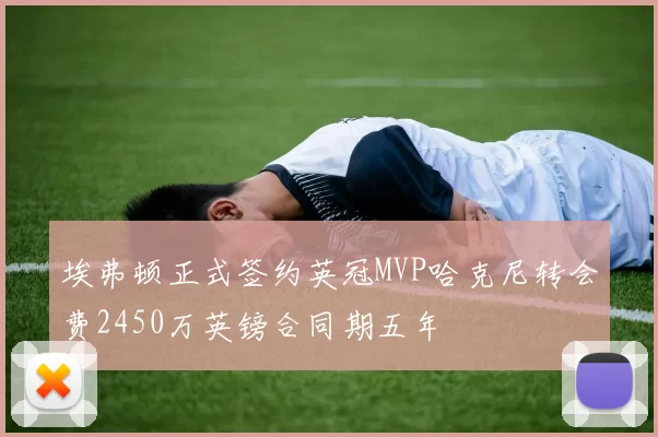 埃弗顿正式签约英冠MVP哈克尼转会费2450万英镑合同期五年