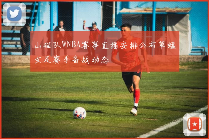 山猫队WNBA赛事直播安排公布草蜢女足赛季备战动态
