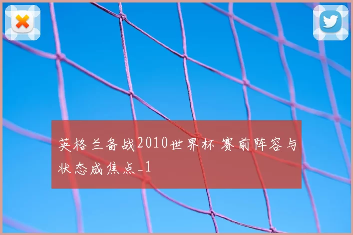 英格兰备战2010世界杯 赛前阵容与状态成焦点_1