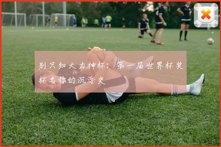 别只知大力神杯：第一届世界杯奖杯名称的沉浮史