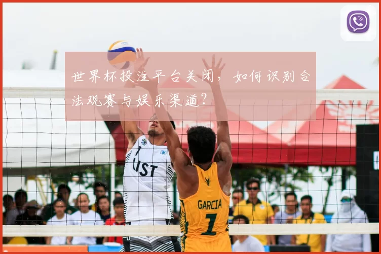 世界杯投注平台关闭,如何识别合法观赛与娱乐渠道?