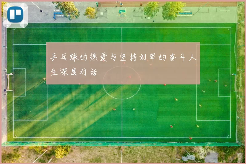 乒乓球的热爱与坚持刘军的奋斗人生深度对话