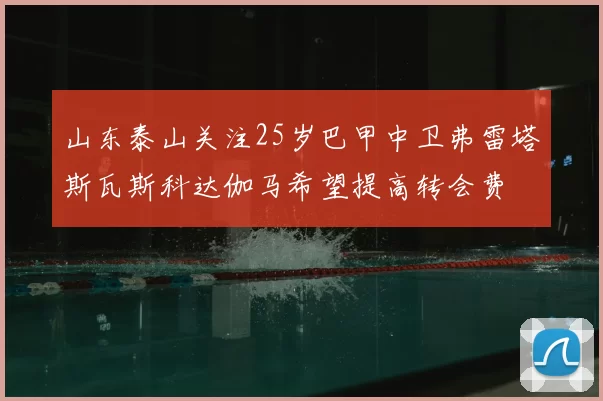 山东泰山关注25岁巴甲中卫弗雷塔斯瓦斯科达伽马希望提高转会费
