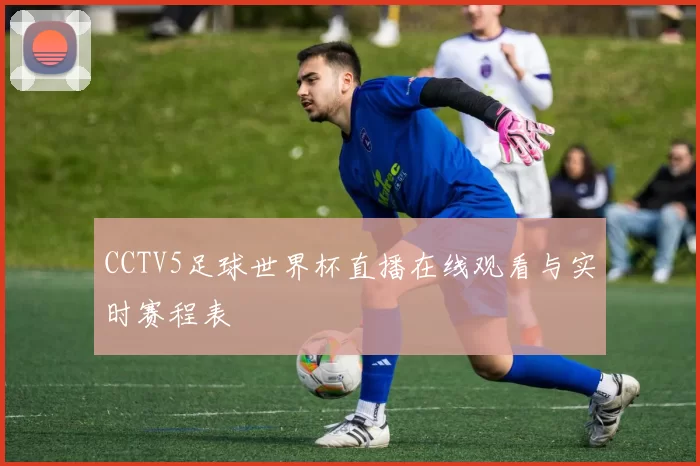 CCTV5足球世界杯直播在线观看与实时赛程表