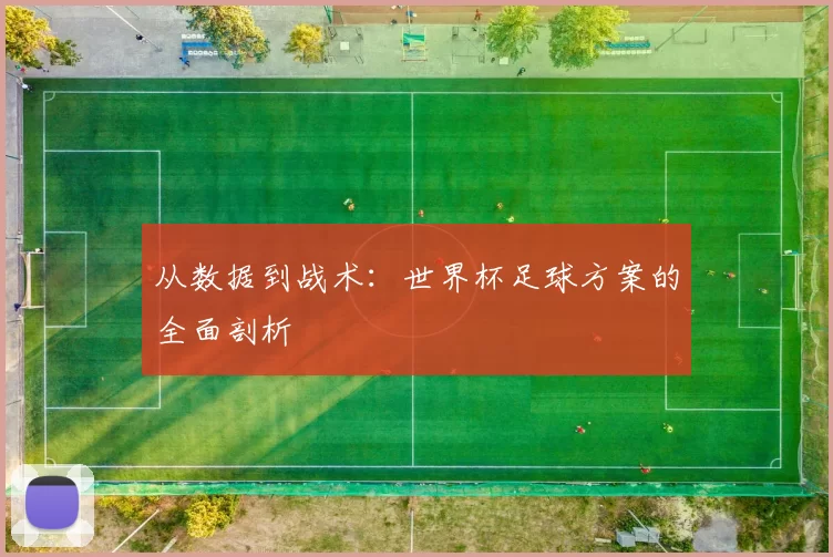 从数据到战术：世界杯足球方案的全面剖析