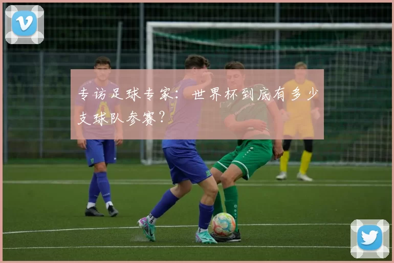 专访足球专家:世界杯到底有多少支球队参赛?